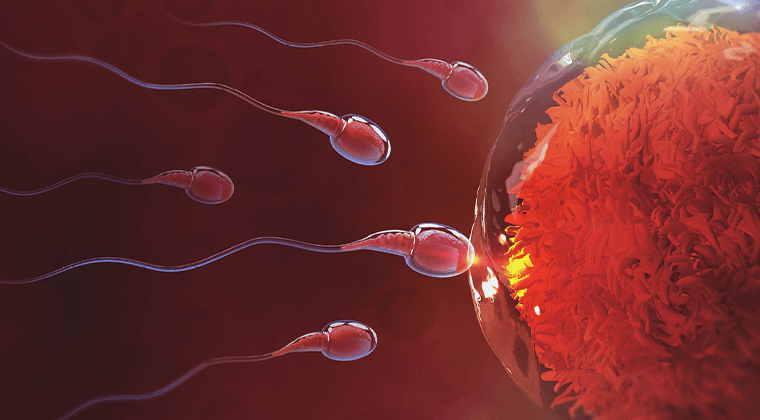 Estudio y Tratamiento de la Fertilidad Masculina