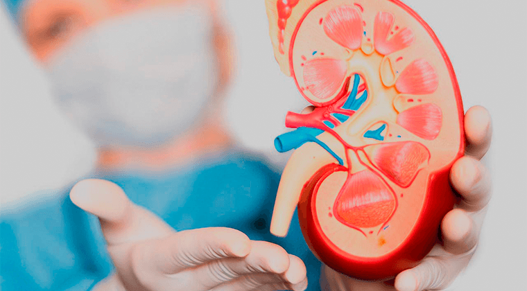 Oncología Urológica